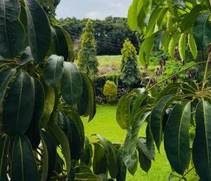 Afbeelding uit fotogalerij van Meru View Retreat in Usa River