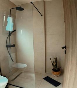 a bathroom with a shower with a toilet and a plant at Dris Suites in Nikiana
