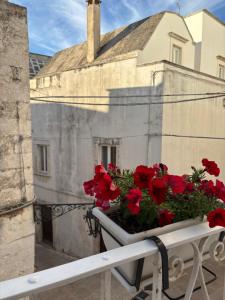 un sembrador lleno de flores rojas en un balcón en Al numero 13, en Martina Franca