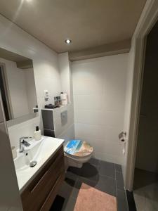 a bathroom with a toilet and a sink at Katwijks geluk in Katwijk aan Zee