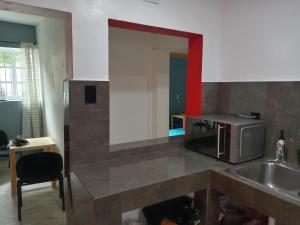 a kitchen with a sink and a microwave at Casa Naty in Mexico City +15 photos