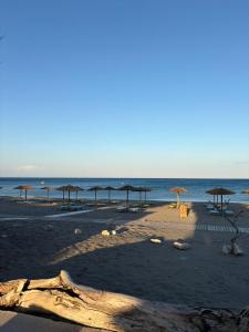 Fotografie z fotogalerie ubytování Marco Beach Tiny House v destinaci Faliraki