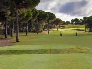 Golf v apartmánu nebo okolí