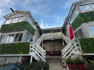 阿尔加罗沃DeptosGuacolda Karina & Claudio的常春藤生长在房子的一侧