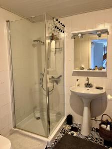 a bathroom with a shower and a sink at La petite maison in Saint-Mars-dʼOutillé