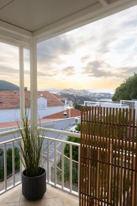 杜布罗夫尼克Anita的阳台上的走廊上种植了盆栽植物