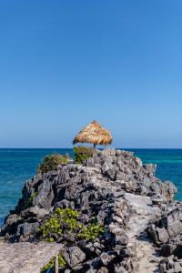 Fotografie z fotogalerie ubytování Paya Bay Resort v destinaci Port Royal