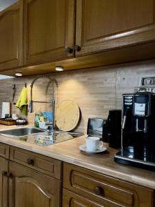 Η κουζίνα ή μικρή κουζίνα στο Handwerkswohnung Nova