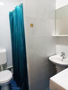 a bathroom with a blue shower curtain and a sink at Zevs Apartmani 2 in Igalo