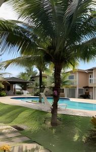 uma palmeira sentada ao lado de uma piscina em Agradável Casa em Cond de frente para a Praia Rasa em Armacao dos Buzios