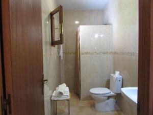 e bagno con servizi igienici, lavandino e doccia. di Apartamentos Ferrer a Playa d'Es Figueral