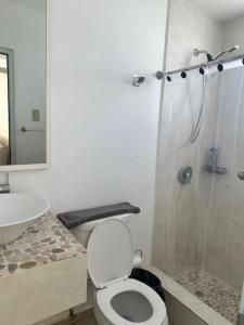 ein Badezimmer mit Dusche, Toilette und Waschbecken in der Unterkunft Palmar Sur in San Juan