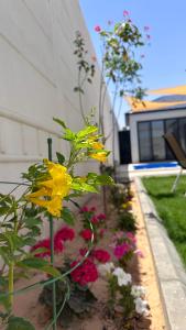 a garden with yellow flowers in a yard at Royal chalet in Al Qurayyat +4 photos