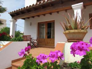 a house with a potted plant on a wall with purple flowers at Viviendas FERRER in Es Figueral Beach