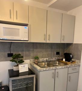 a kitchen with a sink and a microwave at 1912 Boutique Hotel in Cayey