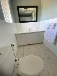a bathroom with a toilet and a sink and a mirror at Butterfly Manor in Niagara Falls