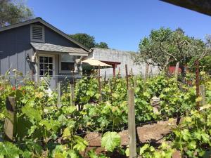 Gallery image of Andrea's Hidden Cottage in Sonoma