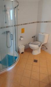 a bathroom with a toilet and a glass shower at angelos aparts11 in Arillas