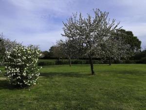 Ogród w obiekcie Holiday Home in Isigny-sur-Mer with Garden