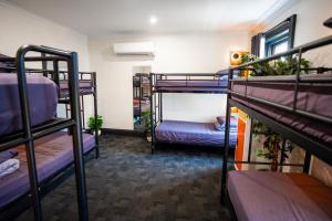 Ένα ή περισσότερα κρεβάτια σε δωμάτιο στο Mad Monkey Kings Cross