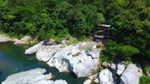 Foto da galeria de Jungle River Lodge em La Ceiba