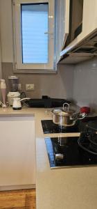 Kuchyň nebo kuchyňský kout v ubytování i hostel
