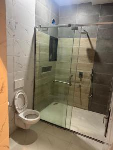 Un baño con inodoro y ducha de cristal. en LEVI'S Home, en Karsana