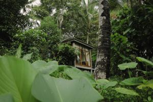 Aed väljaspool majutusasutust Bali Secret Jungle