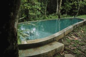 Foto sihtkohas Selemadeg asuva majutusasutuse Bali Secret Jungle galeriist