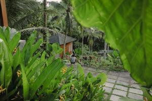 Aed väljaspool majutusasutust Bali Secret Jungle