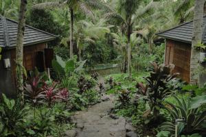 Aed väljaspool majutusasutust Bali Secret Jungle