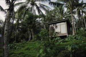 Aed väljaspool majutusasutust Bali Secret Jungle