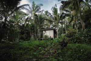Aed väljaspool majutusasutust Bali Secret Jungle