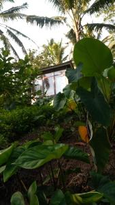 Aed väljaspool majutusasutust Bali Secret Jungle
