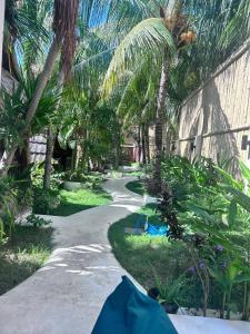 Zahrada ubytování Tricky Trees Sunset Bungalows