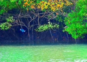 Fotografie z fotogalerie ubytování Jo'stel Hotel Tufan - Sundarban v destinaci Purbbadulki + 42 fotografií