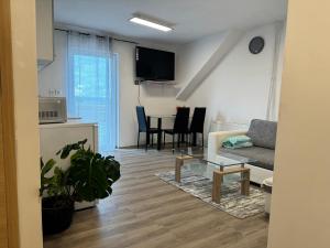 TV a/nebo společenská místnost v ubytování Apartments Zupan