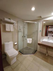 ein Badezimmer mit Dusche, Toilette und Waschbecken in der Unterkunft GreenTree Inn Shenzhen Kengzi Town Express Hotel in Kengzi