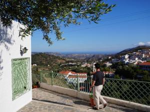 Příroda nedaleko vily