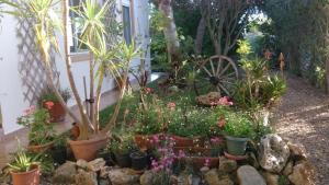 Κήπος έξω από το Mikros Paradisos