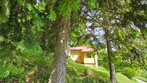 Gallery image of Vila Lipov Hlad Rajac in Polom