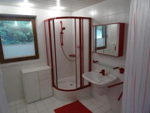 La salle de bains est pourvue d'une douche et d'un lavabo. dans l'établissement Ferienwohnung Hans Ebner, à Eben im Pongau