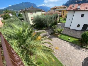 リーヴァ・デル・ガルダにあるDueOlivi - Appartamento Blueの中庭のヤシの木