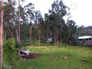 un parque con un banco en un campo con árboles en Wayra Hospedaje en Cajamarca