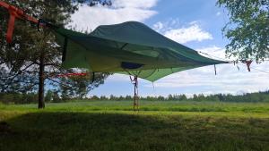 a green kite hanging from a tree in a field at Tesla`s Valley in Smiljan