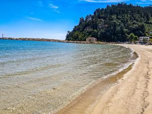 a beach with a body of water and trees at Menta Studios in Skala Potamias