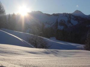Paesaggio naturale nelle vicinanze dell'appartamento