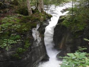 Paesaggio naturale nelle vicinanze dell'appartamento