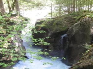 Paesaggio naturale nelle vicinanze dell'appartamento