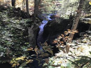 Paesaggio naturale nelle vicinanze dell'appartamento